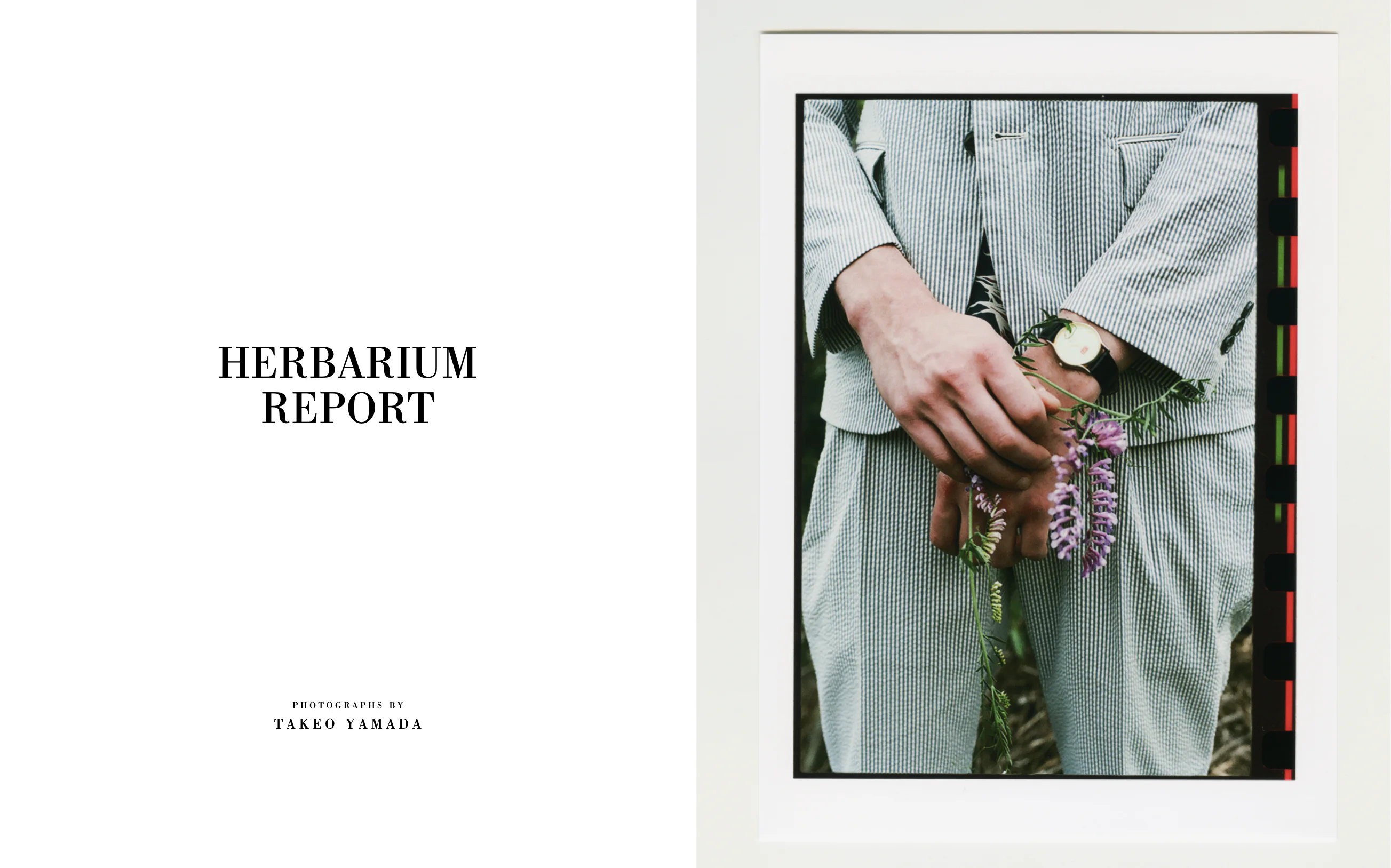 Harbarium Report personal photographic work, Tokyo