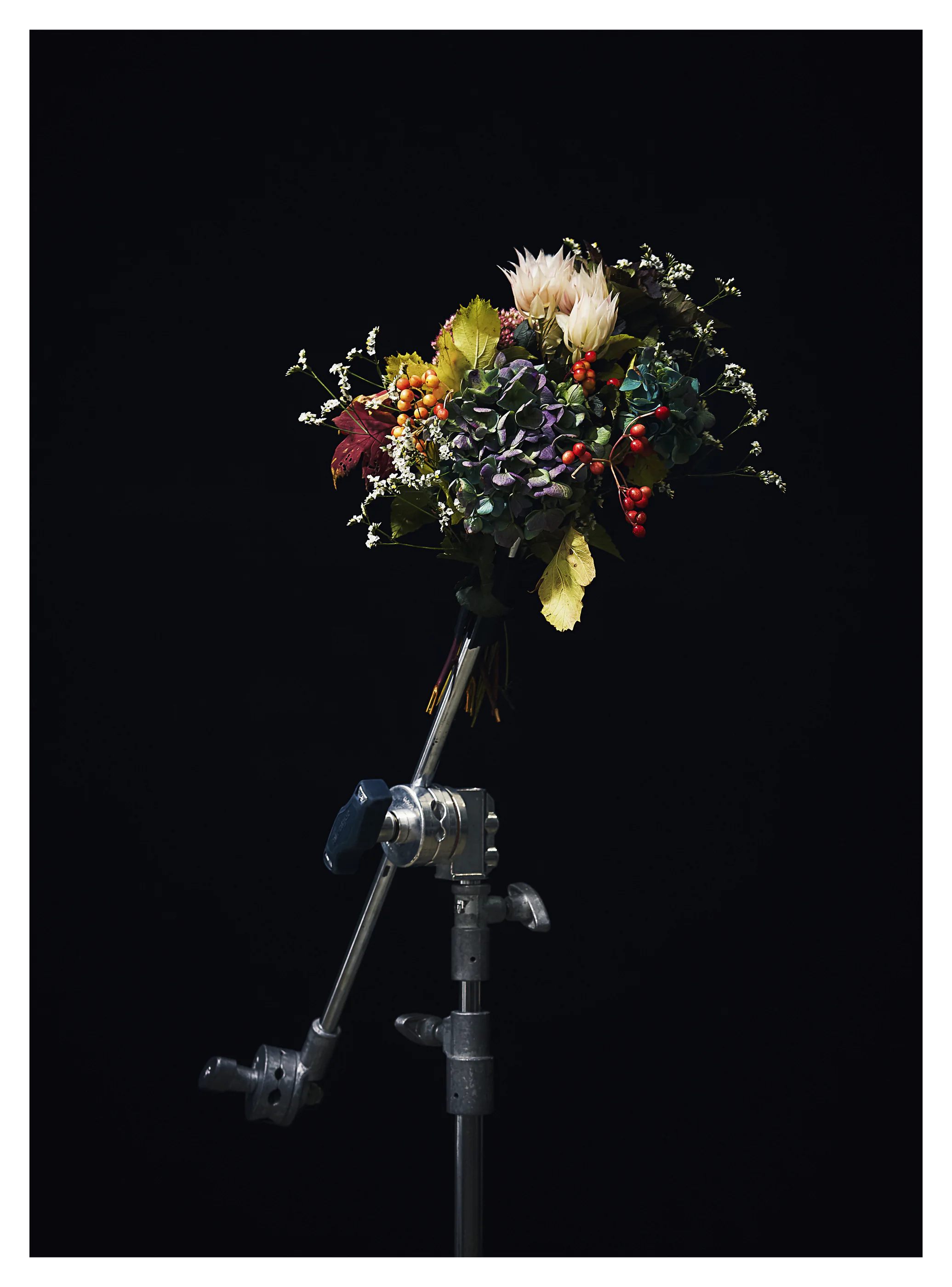 FLOWERS still life photograph, Tokyo