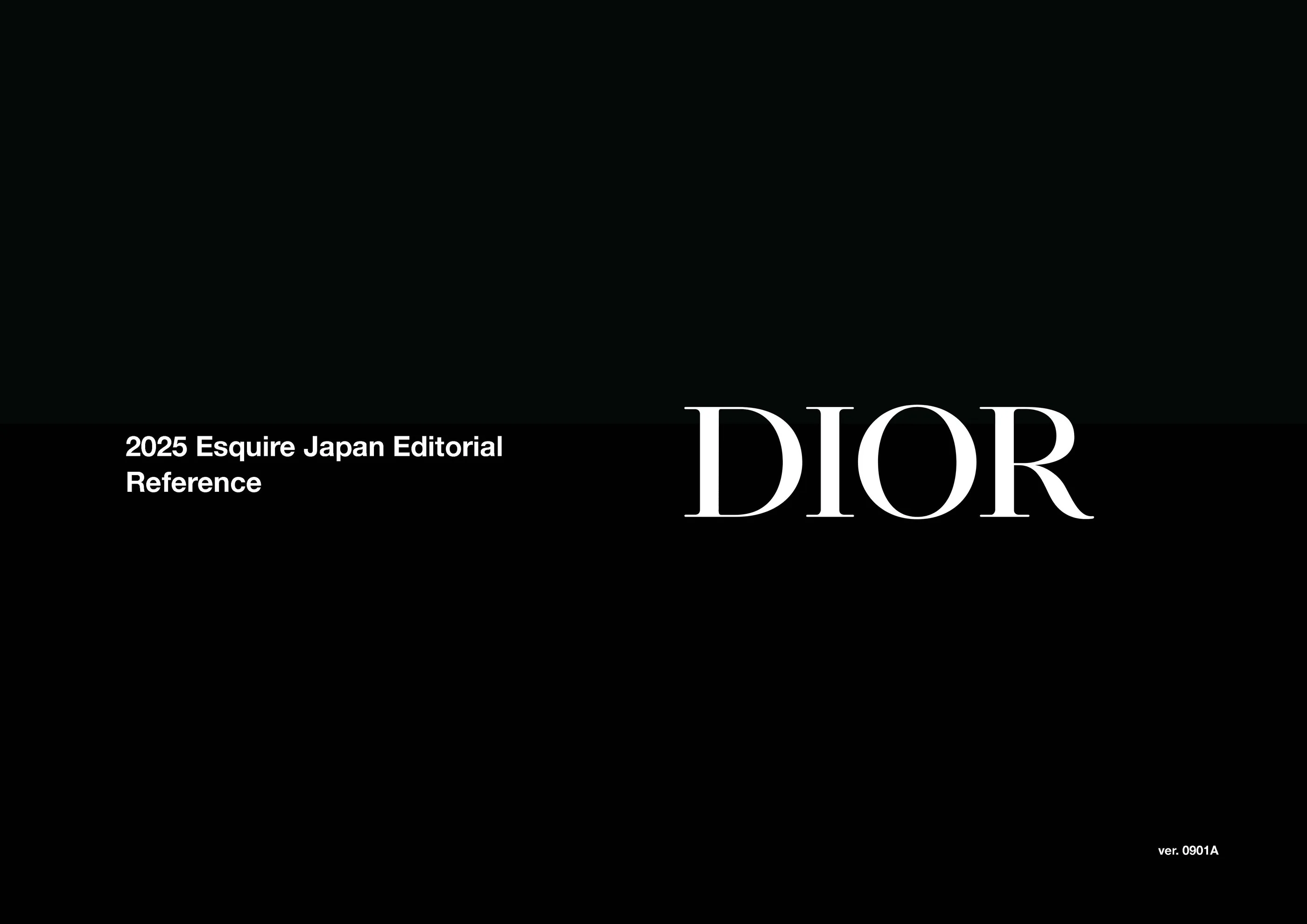 ESQUIRE-DIOR-MASAKIOKADA-SAKIKONOMURA